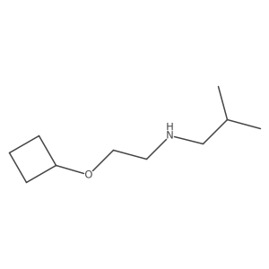 (2-Cyclobutoxyethyl)(2-methylpropyl)amine结构式