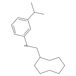 N-(Cyclooctylmethyl)-3-isopropylbenzenamine结构式