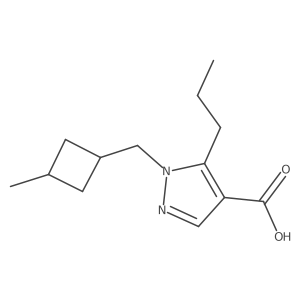 1-[(3-methylcyclobutyl)methyl]-5-propyl-1H-pyrazole-4-carboxylic acid结构式