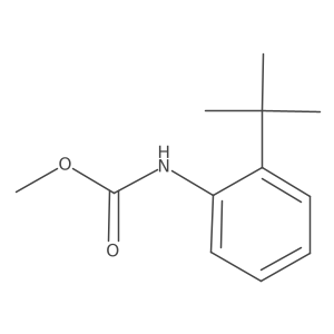 (2-Tert-butyl-phenyl)-carbamic acid methyl ester Structure
