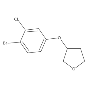 2566176-49-4 structure