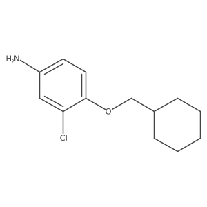 3-Chloro-4-(cyclohexylmethoxy)aniline结构式