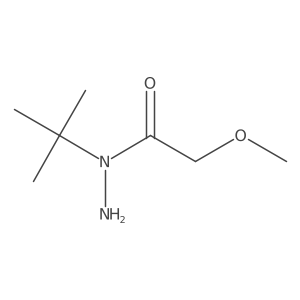 N-tert-butyl-2-methoxyacetohydrazide Structure