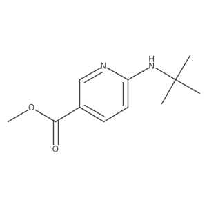 Methyl 6-(tert-butylamino)nicotinate结构式