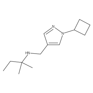 [(1-cyclobutyl-1H-pyrazol-4-yl)methyl](2-methylbutan-2-yl)amine结构式