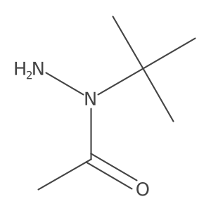 N-tert-butylacetohydrazide Structure