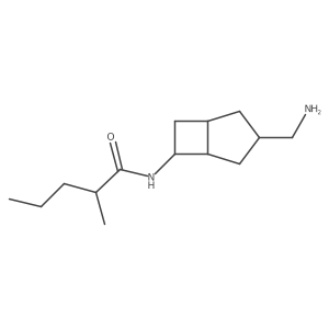 N-[3-(aminomethyl)bicyclo[3.2.0]heptan-6-yl]-2-methylpentanamide结构式