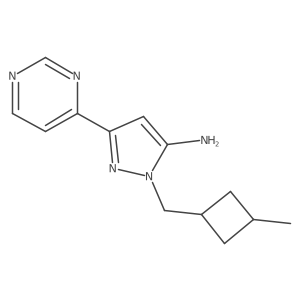 1-[(3-methylcyclobutyl)methyl]-3-(pyrimidin-4-yl)-1H-pyrazol-5-amine结构式
