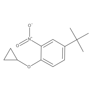 4-Tert-butyl-1-cyclopropoxy-2-nitrobenzene结构式