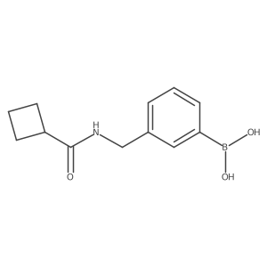 (3-(Cyclobutanecarboxamidomethyl)phenyl)boronic acid Structure