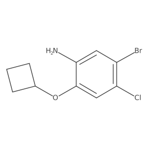 2897544-20-4 structure