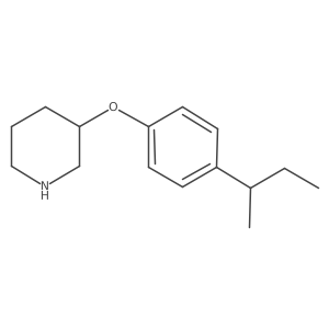 3-[4-(sec-Butyl)phenoxy]piperidine结构式