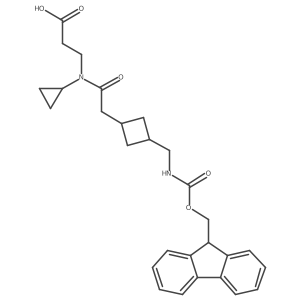 2172068-75-4 structure