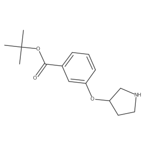 Tert-butyl 3-(pyrrolidin-3-yloxy)benzoate结构式
