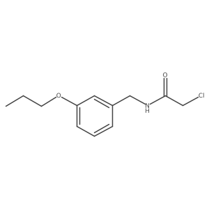 2-chloro-N-[(3-propoxyphenyl)methyl]acetamide Structure