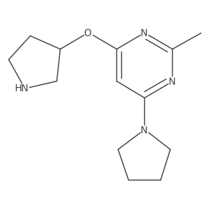 2-Methyl-4-(pyrrolidin-1-yl)-6-(pyrrolidin-3-yloxy)pyrimidine Structure