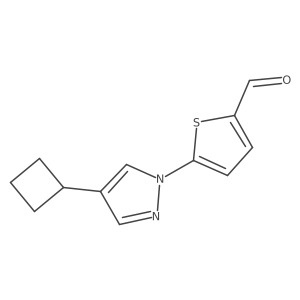 2027714-29-8结构式