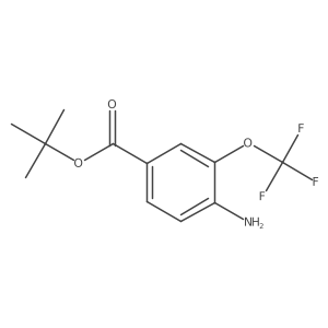 Tert-butyl 4-amino-3-(trifluoromethoxy)benzoate Structure