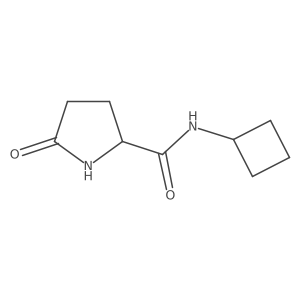 N-cyclobutyl-5-oxopyrrolidine-2-carboxamide结构式