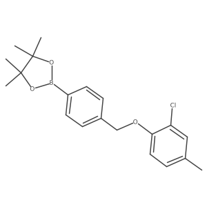 2246813-49-8 structure
