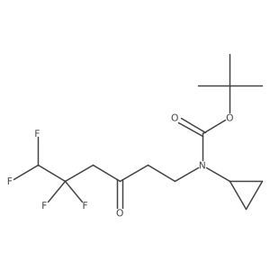 tert-butyl N-cyclopropyl-N-(5,5,6,6-tetrafluoro-3-oxohexyl)carbamate结构式
