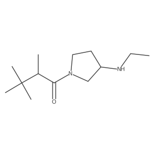 1-[3-(Ethylamino)pyrrolidin-1-yl]-2,3,3-trimethylbutan-1-one Structure