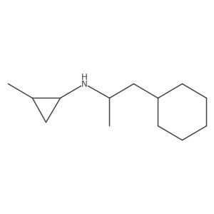 N-(1-cyclohexylpropan-2-yl)-2-methylcyclopropan-1-amine Structure