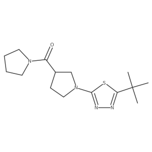 2-Tert-butyl-5-[3-(pyrrolidine-1-carbonyl)pyrrolidin-1-yl]-1,3,4-thiadiazole Structure