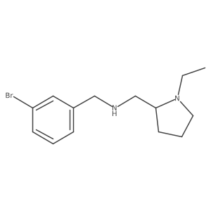 n-(3-Bromobenzyl)-1-(1-ethylpyrrolidin-2-yl)methanamine Structure