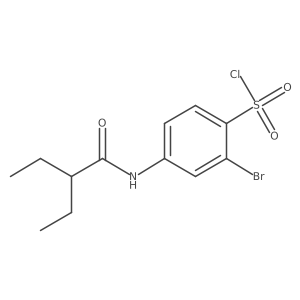 2-Bromo-4-[(2-ethyl-1-oxobutyl)amino]benzenesulfonyl chloride结构式