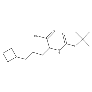 2-{[(Tert-butoxy)carbonyl]amino}-5-cyclobutylpentanoic acid Structure