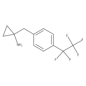 1-{[4-(Pentafluoroethyl)phenyl]methyl}cyclopropan-1-amine Structure