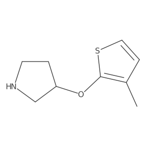 3-[(3-Methylthiophen-2-yl)oxy]pyrrolidine Structure