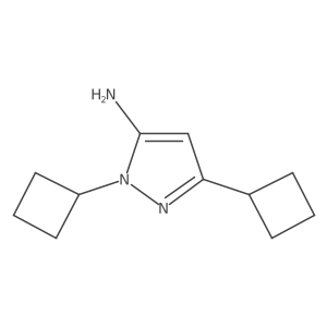 1,3-Dicyclobutyl-1H-pyrazol-5-amine Structure