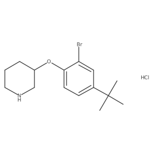 3-(2-Bromo-4-(tert-butyl)phenoxy)piperidine hydrochloride Structure