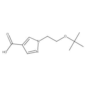1-[2-(tert-butoxy)ethyl]-1H-pyrazole-4-carboxylic acid Structure