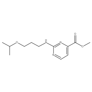 2446947-16-4 structure