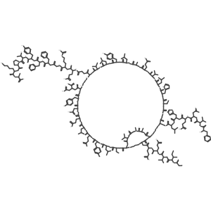 9A-Sar-insulin结构式