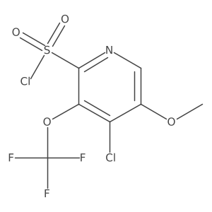 4-Chloro-5-methoxy-3-(trifluoromethoxy)pyridine-2-sulfonyl chloride Structure