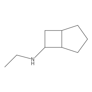rac-(1R,5R)-N-ethylbicyclo[3.2.0]heptan-6-amine结构式