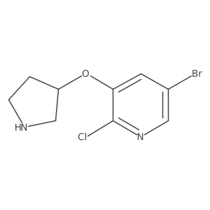 5-Bromo-2-chloro-3-(pyrrolidin-3-yloxy)pyridine Structure