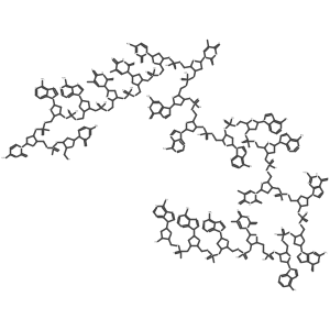 5'-CmpC mpAAT TCT GAA AAT GGA TAmpA mpA-3' Structure