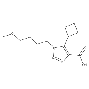 5-cyclobutyl-1-(4-methoxybutyl)-1H-1,2,3-triazole-4-carboxylic acid结构式