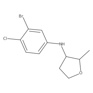 1556504-28-9 structure