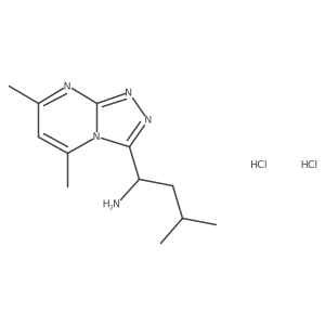1-(5,7-Dimethyl[1,2,4]triazolo[4,3-a]pyrimidin-3-yl)-3-methylbutan-1-amine dihydrochloride结构式