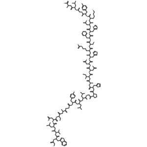 Galanin (porcine) Structure