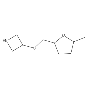 3-[(5-Methyloxolan-2-yl)methoxy]azetidine Structure