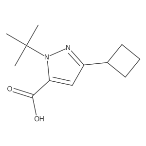 1-tert-butyl-3-cyclobutyl-1H-pyrazole-5-carboxylic acid Structure