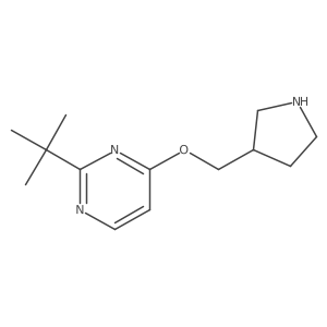 2-Tert-butyl-4-[(pyrrolidin-3-yl)methoxy]pyrimidine结构式