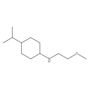 N-(2-Methoxyethyl)-4-(propan-2-yl)cyclohexan-1-amine结构式